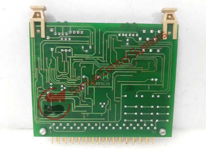 20250104_164217 20250104_164217