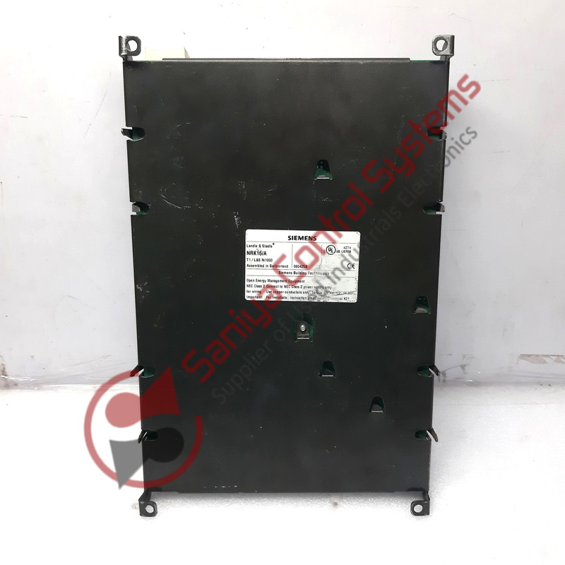 20250106_132930 20250106_132930