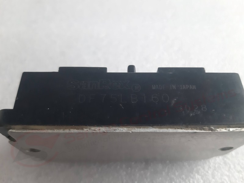 20230322_173334 copy 20230322_173334 copy