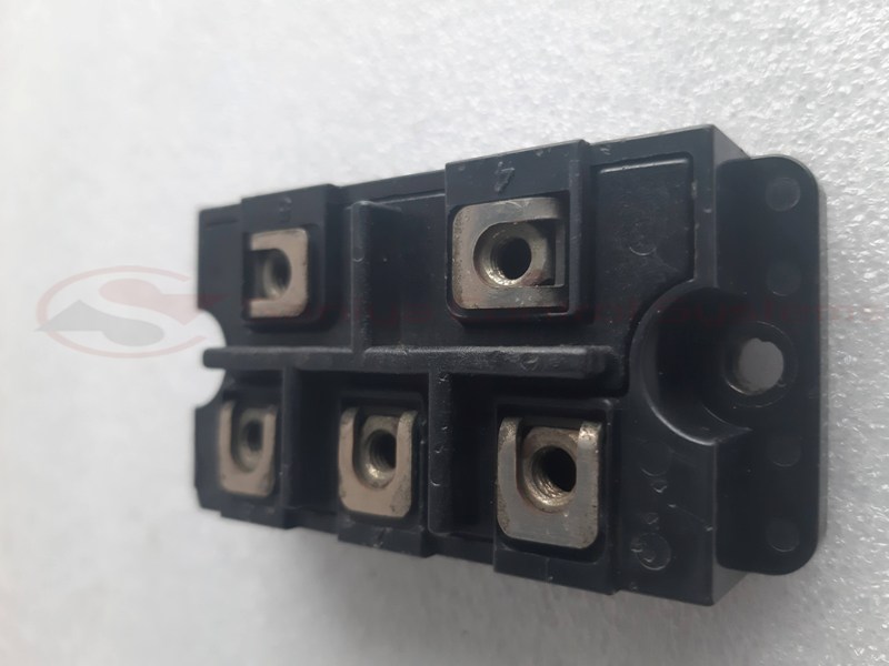 20230322_173339 copy 20230322_173339 copy