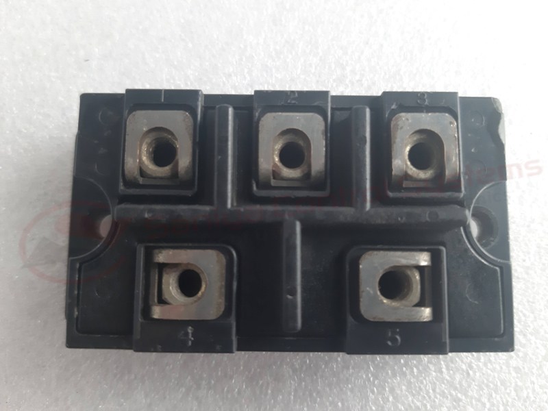 20230322_173343 copy 20230322_173343 copy