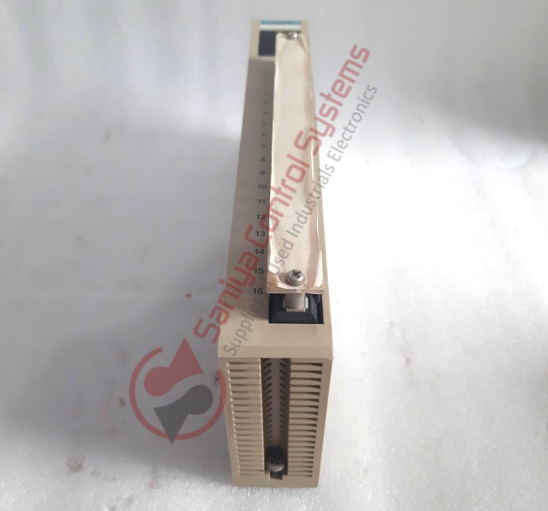 20250919_161619 20250919_161619